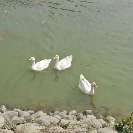 Karna Lake Tourist Resort Karnāl エクステリア 写真